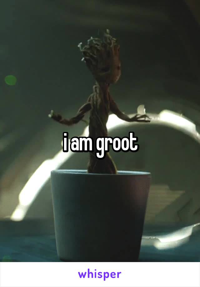 i am groot