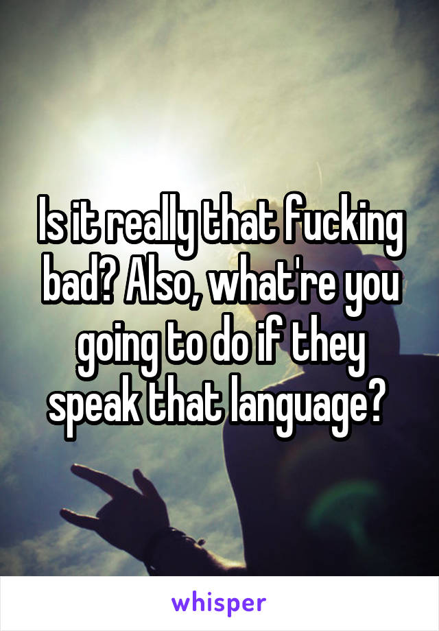 Is it really that fucking bad? Also, what're you going to do if they speak that language? 