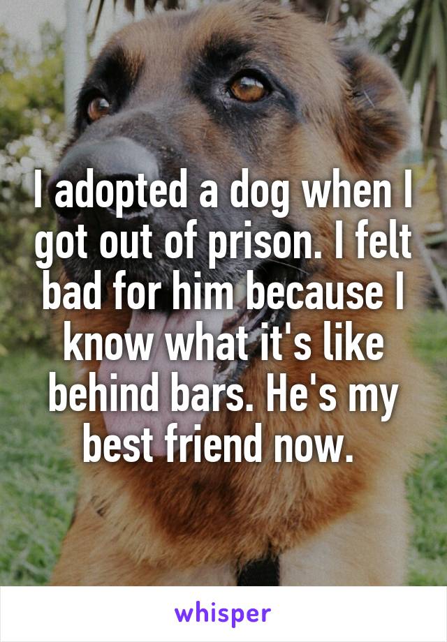 I adopted a dog when I got out of prison. I felt bad for him because I know what it's like behind bars. He's my best friend now. 