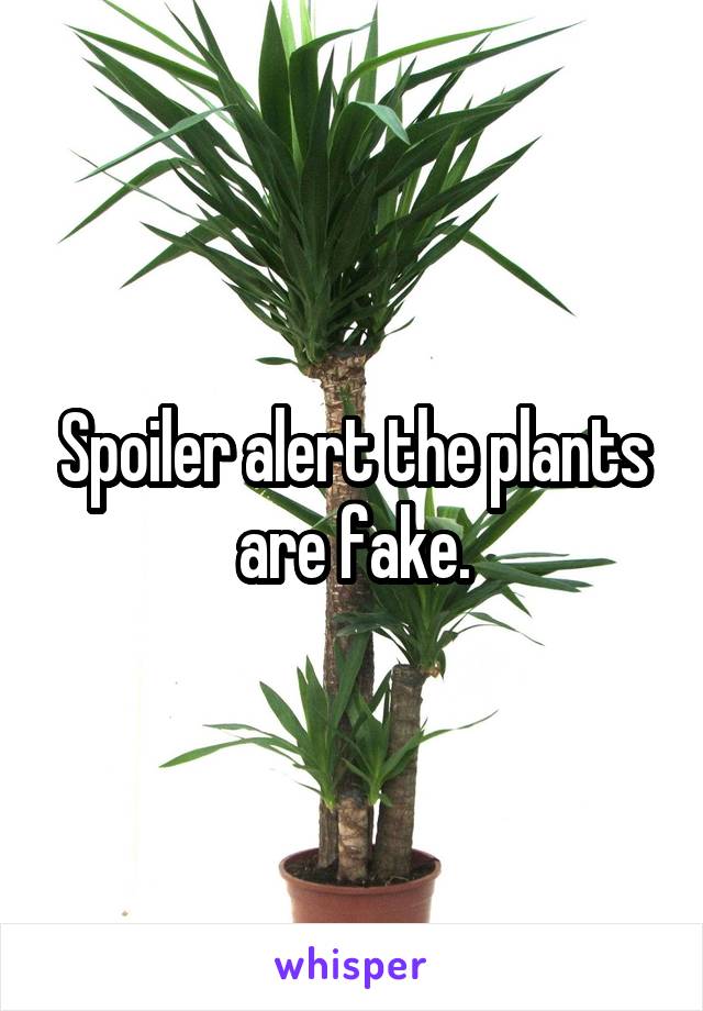 Spoiler alert the plants are fake.