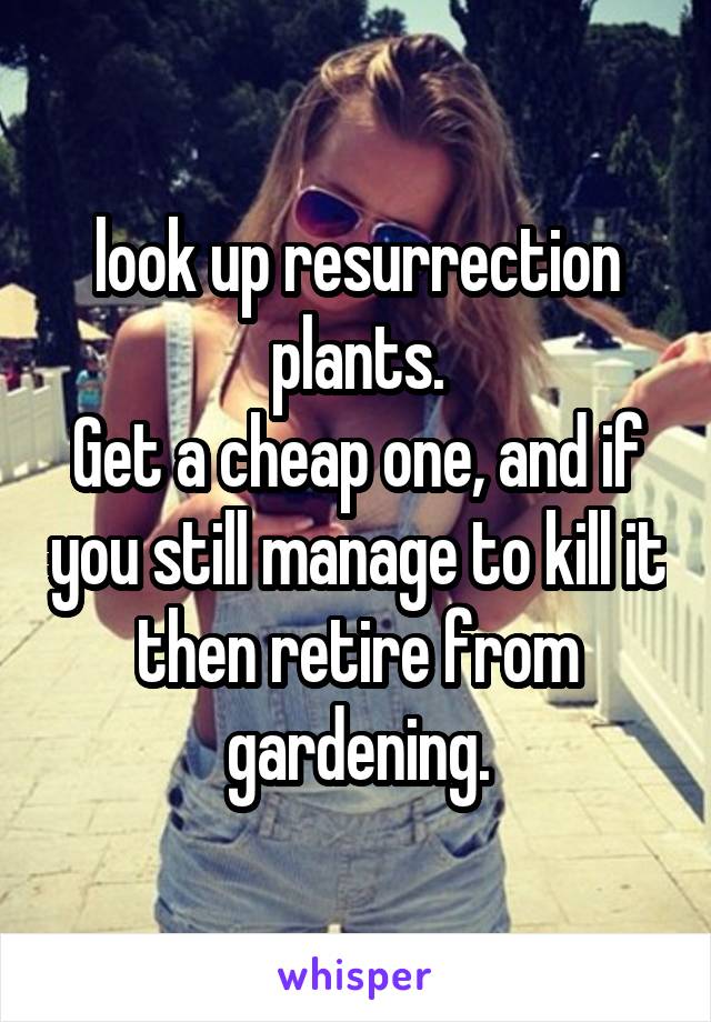look up resurrection plants.
Get a cheap one, and if you still manage to kill it then retire from gardening.