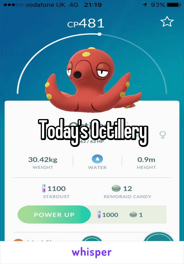 Today's Octillery