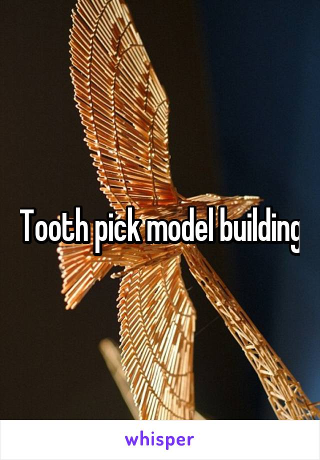 Tooth pick model building