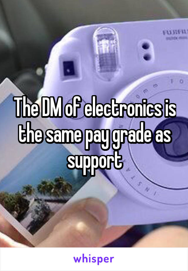 The DM of electronics is the same pay grade as support