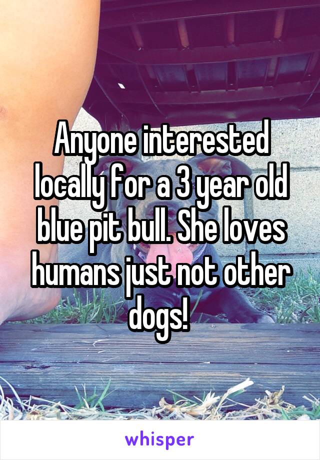 Anyone interested locally for a 3 year old blue pit bull. She loves humans just not other dogs! 