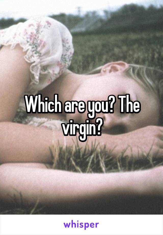 Which are you? The virgin?