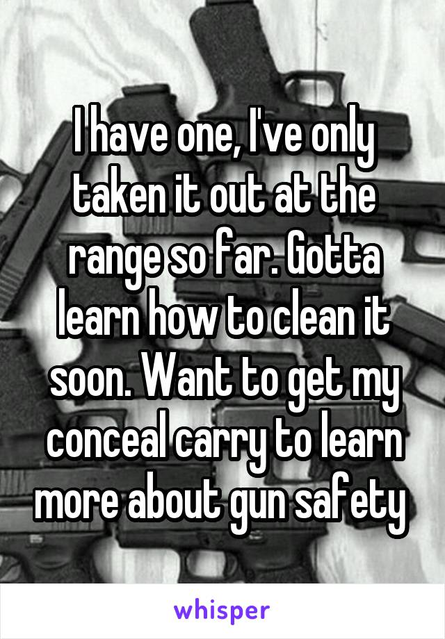 I have one, I've only taken it out at the range so far. Gotta learn how to clean it soon. Want to get my conceal carry to learn more about gun safety 