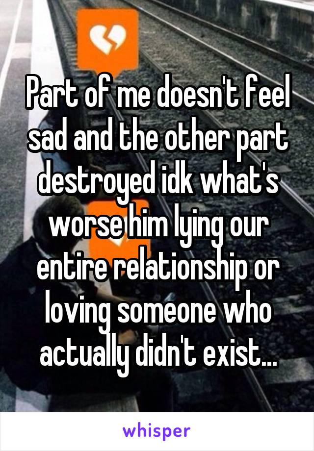 Part of me doesn't feel sad and the other part destroyed idk what's worse him lying our entire relationship or loving someone who actually didn't exist...