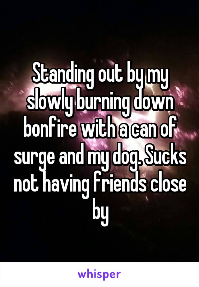 Standing out by my slowly burning down bonfire with a can of surge and my dog. Sucks not having friends close by