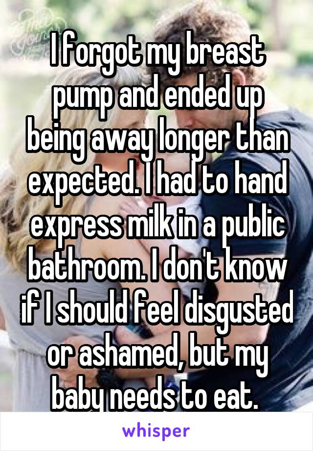 I forgot my breast pump and ended up being away longer than expected. I had to hand express milk in a public bathroom. I don't know if I should feel disgusted or ashamed, but my baby needs to eat. 
