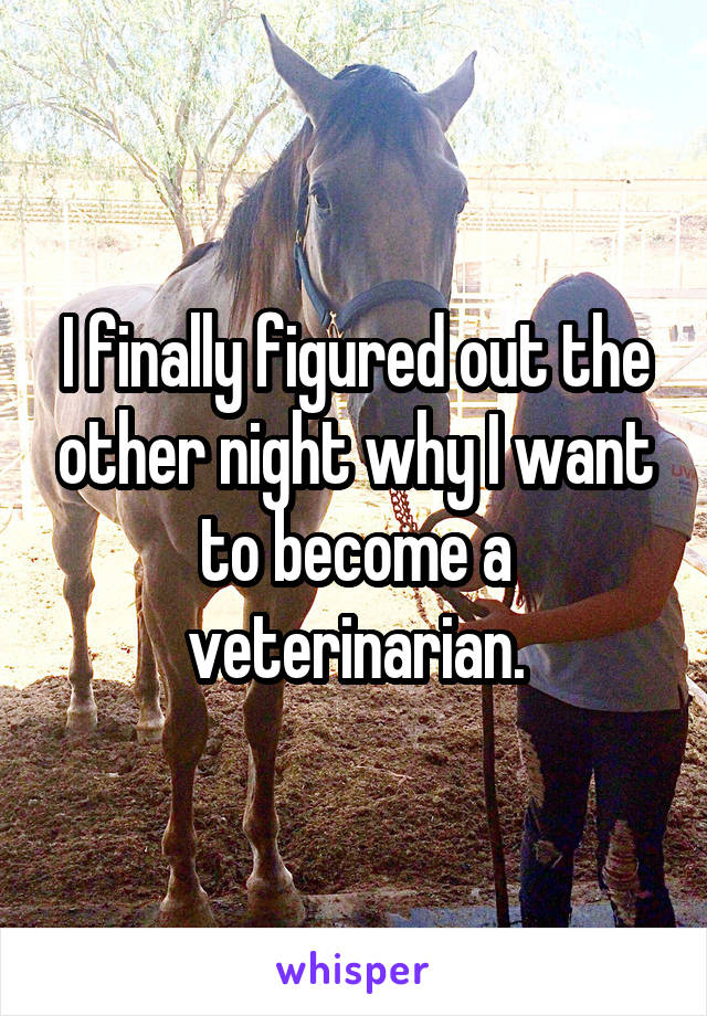 I finally figured out the other night why I want to become a veterinarian.