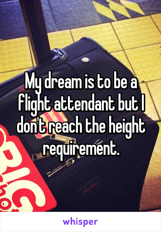 My dream is to be a flight attendant but I don't reach the height requirement.