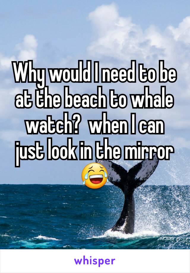 Why would I need to be at the beach to whale watch?  when I can just look in the mirror 😂
