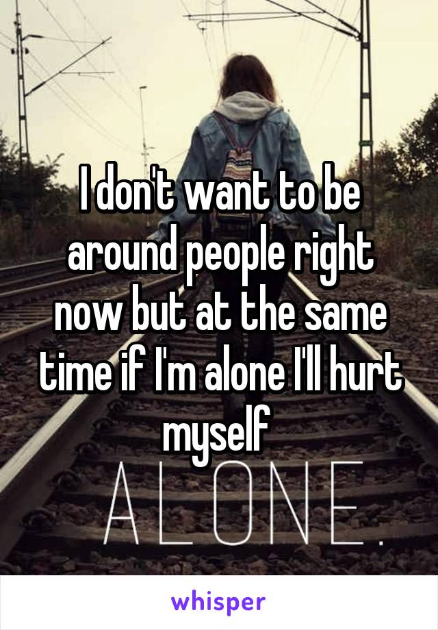 I don't want to be around people right now but at the same time if I'm alone I'll hurt myself 