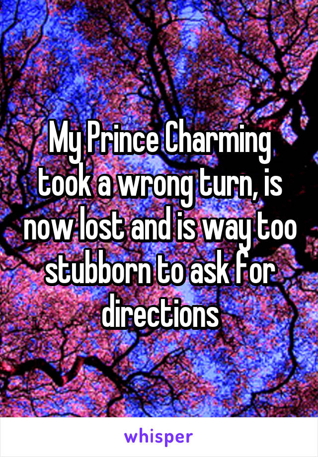 My Prince Charming took a wrong turn, is now lost and is way too stubborn to ask for directions