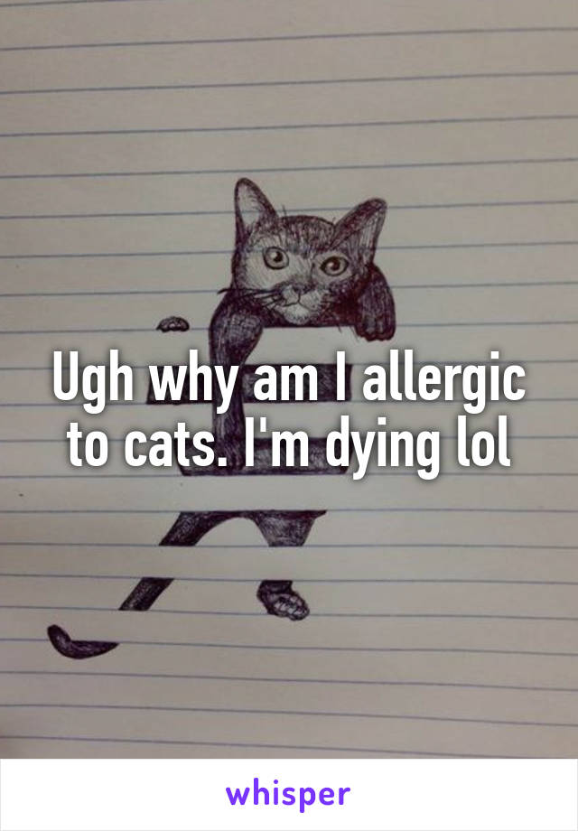 Ugh why am I allergic to cats. I'm dying lol