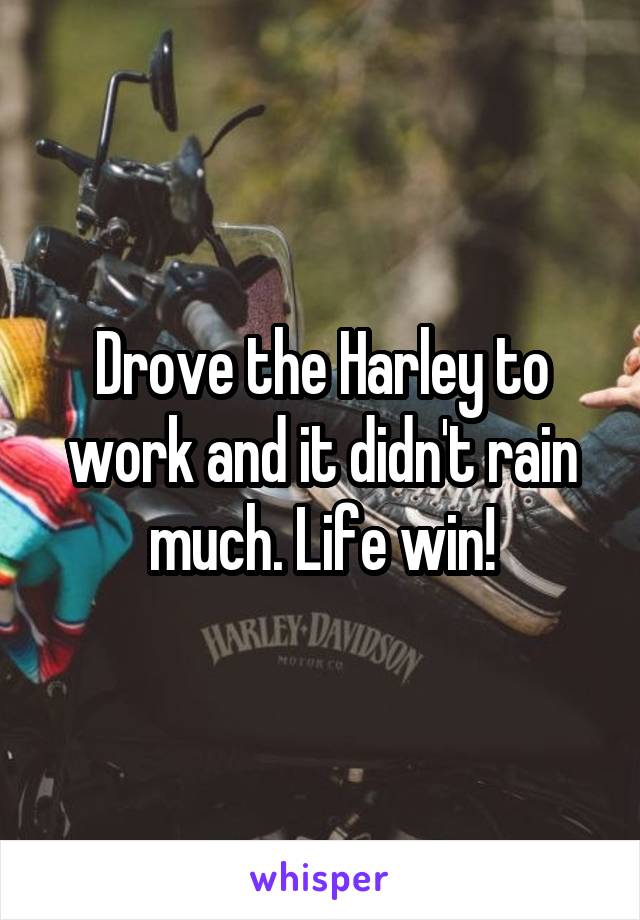 Drove the Harley to work and it didn't rain much. Life win!