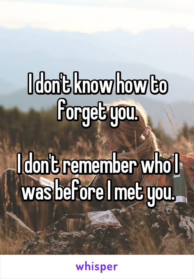 I don't know how to forget you.

I don't remember who I was before I met you.