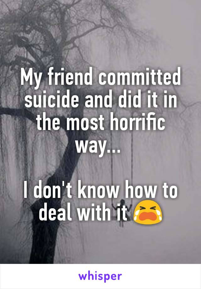 My friend committed suicide and did it in the most horrific way... 

I don't know how to deal with it 😭