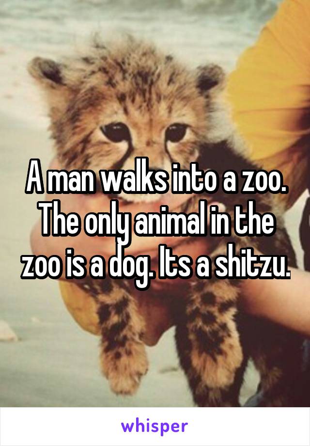 A man walks into a zoo. The only animal in the zoo is a dog. Its a shitzu.