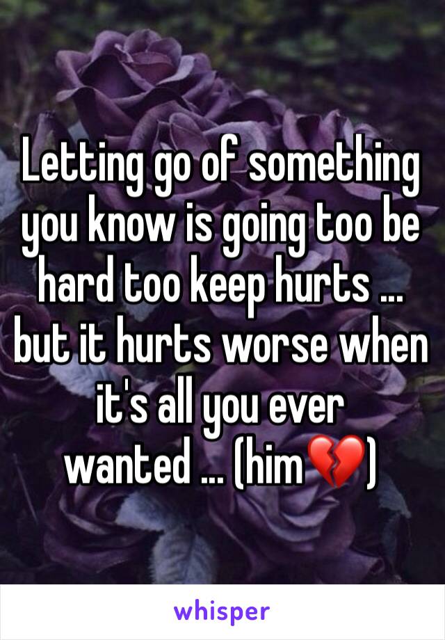 Letting go of something you know is going too be hard too keep hurts ... but it hurts worse when it's all you ever wanted ... (him💔)