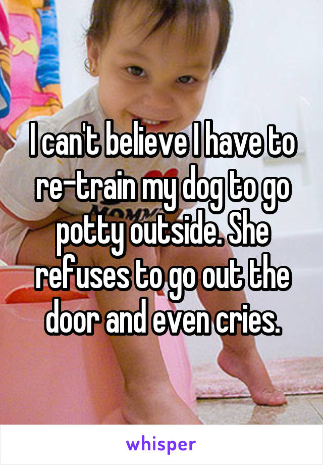 I can't believe I have to re-train my dog to go potty outside. She refuses to go out the door and even cries.