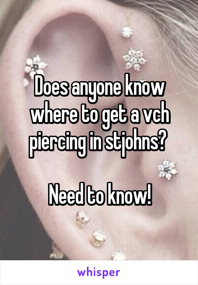 Does anyone know where to get a vch piercing in stjohns? 

Need to know!