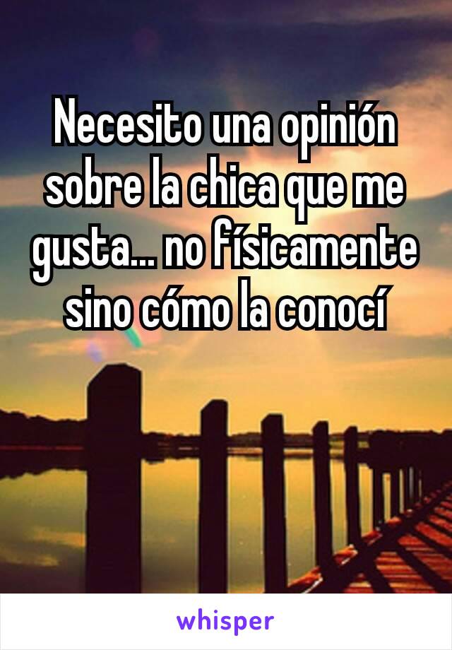 Necesito una opinión sobre la chica que me gusta... no físicamente sino cómo la conocí