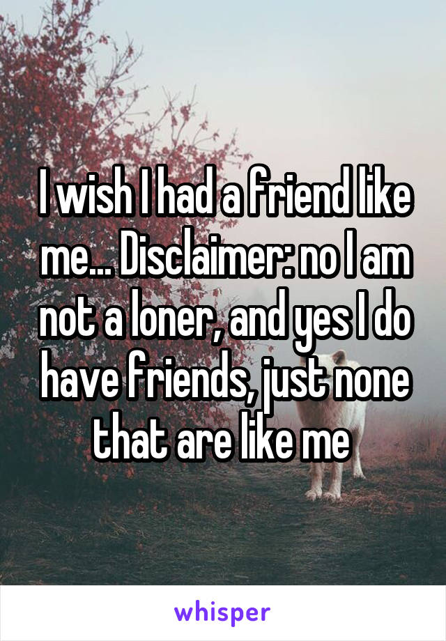 I wish I had a friend like me... Disclaimer: no I am not a loner, and yes I do have friends, just none that are like me 