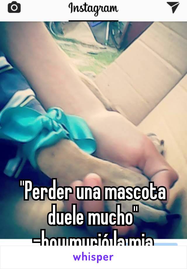 "Perder una mascota duele mucho"
-hoy murió la mia