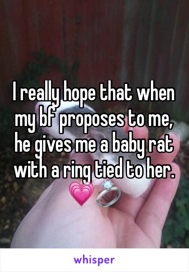 I really hope that when my bf proposes to me, he gives me a baby rat with a ring tied to her. 💗💍