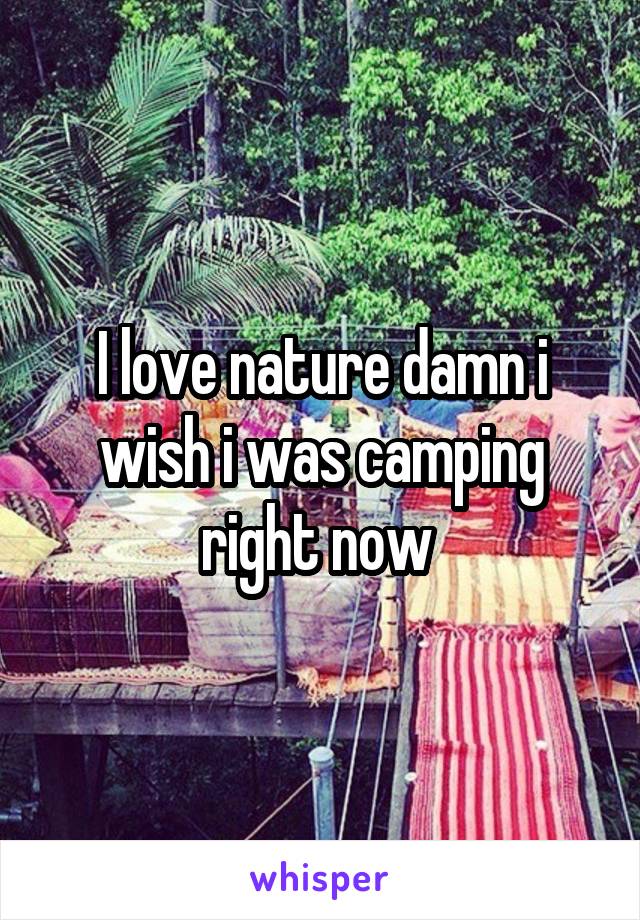 I love nature damn i wish i was camping right now 