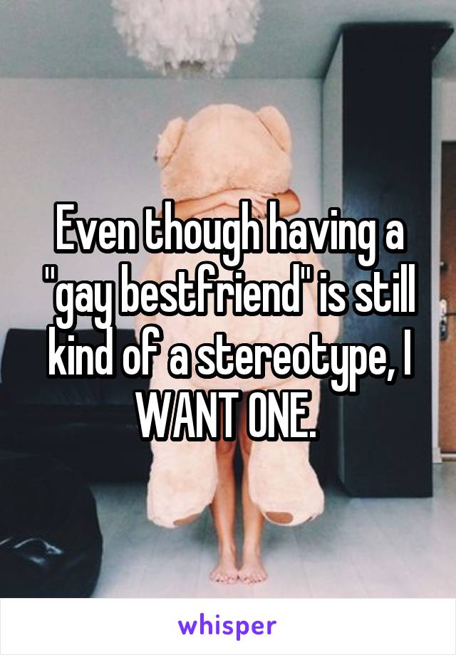 Even though having a "gay bestfriend" is still kind of a stereotype, I WANT ONE. 