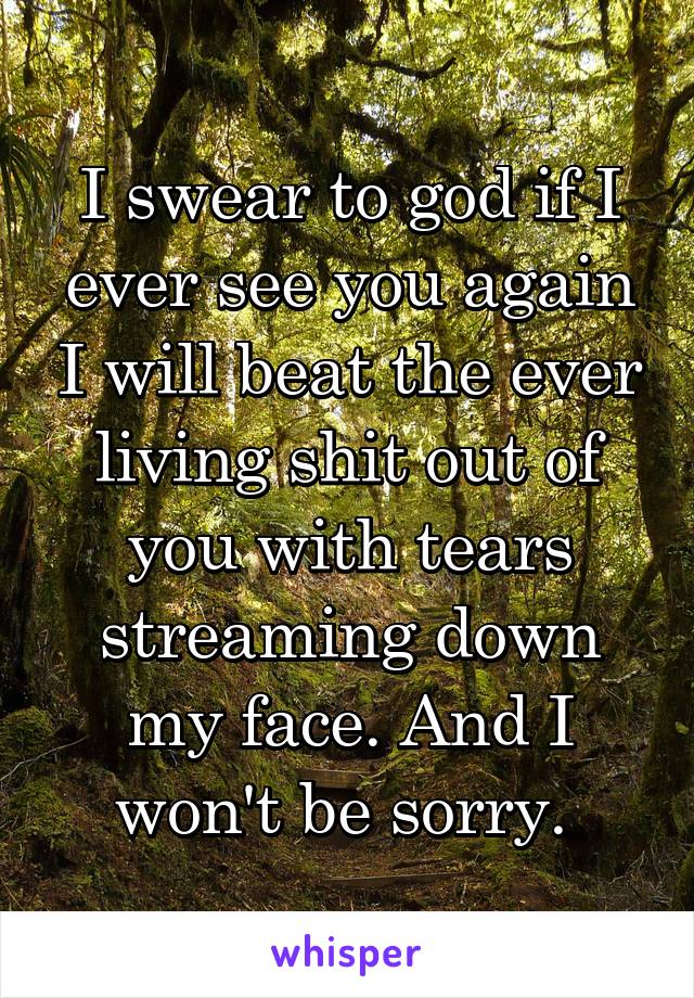 I swear to god if I ever see you again I will beat the ever living shit out of you with tears streaming down my face. And I won't be sorry. 