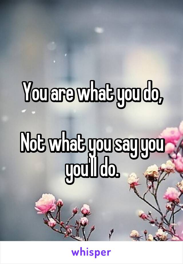 You are what you do,

Not what you say you you'll do.