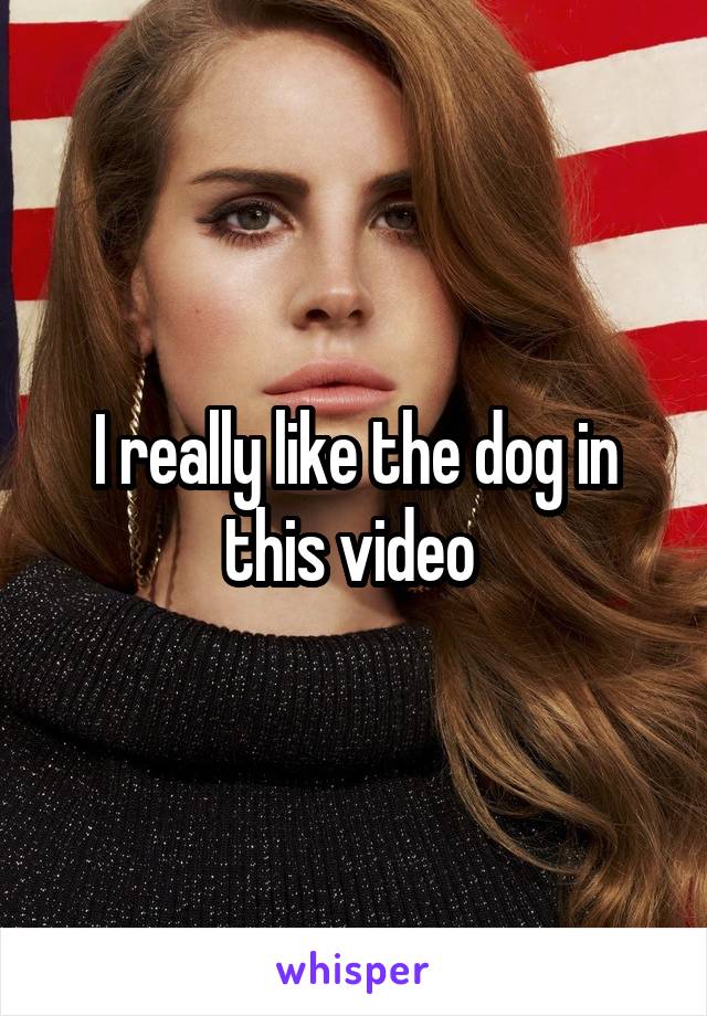 I really like the dog in this video 