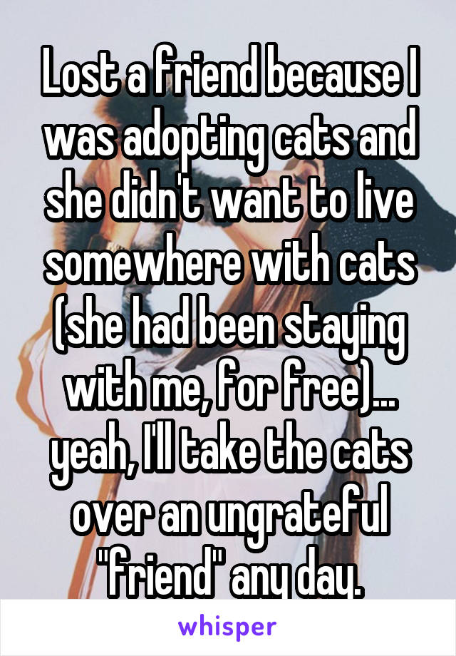 Lost a friend because I was adopting cats and she didn't want to live somewhere with cats (she had been staying with me, for free)... yeah, I'll take the cats over an ungrateful "friend" any day.