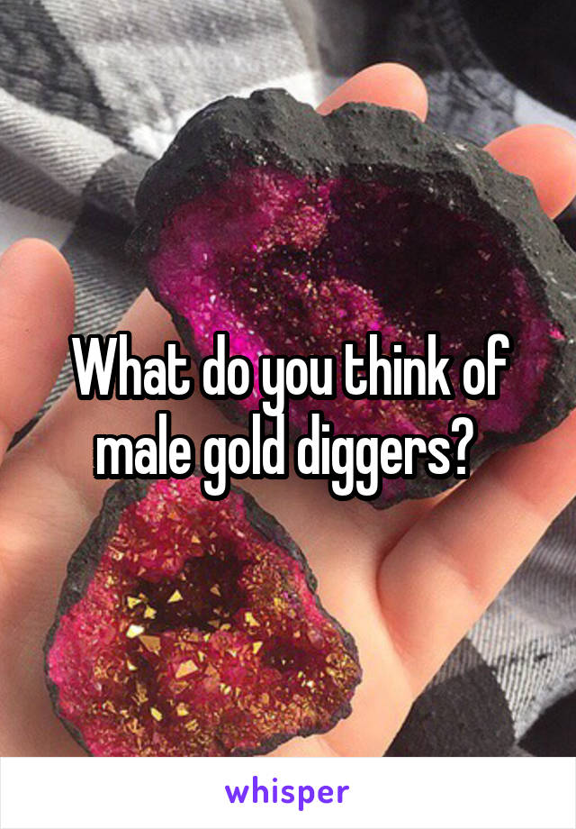 What do you think of male gold diggers? 