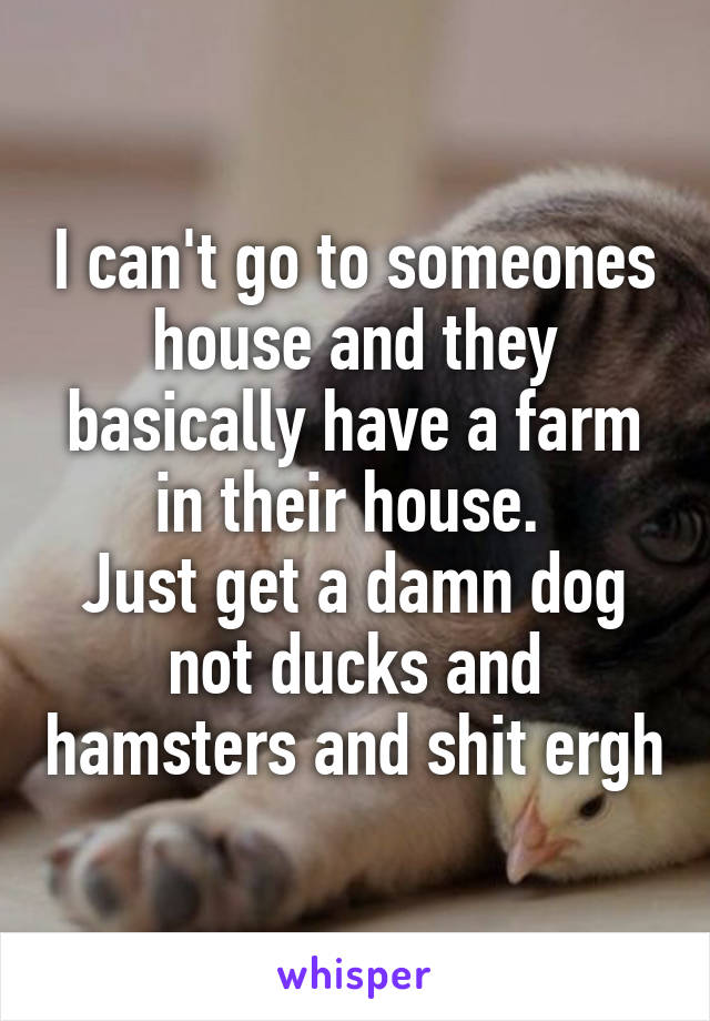 I can't go to someones house and they basically have a farm in their house. 
Just get a damn dog not ducks and hamsters and shit ergh