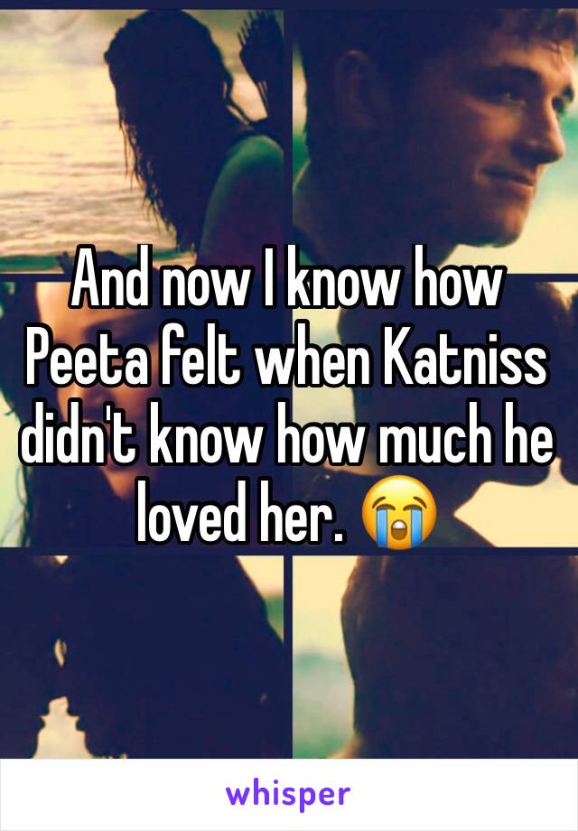 And now I know how Peeta felt when Katniss didn't know how much he loved her. 😭