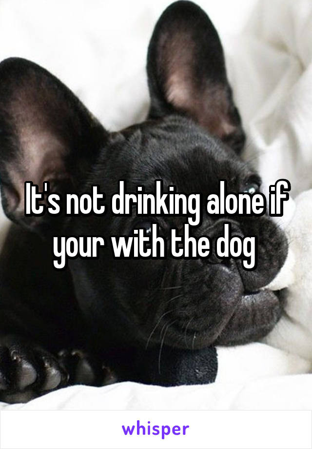 It's not drinking alone if your with the dog 