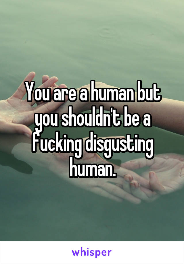 You are a human but you shouldn't be a fucking disgusting human.