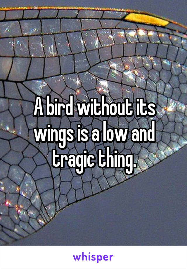 A bird without its wings is a low and tragic thing.