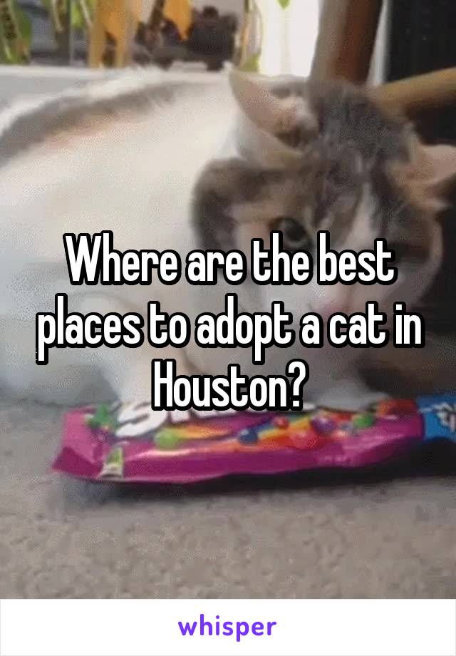 Where are the best places to adopt a cat in Houston?