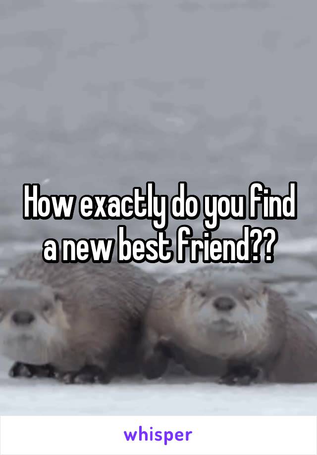 How exactly do you find a new best friend??