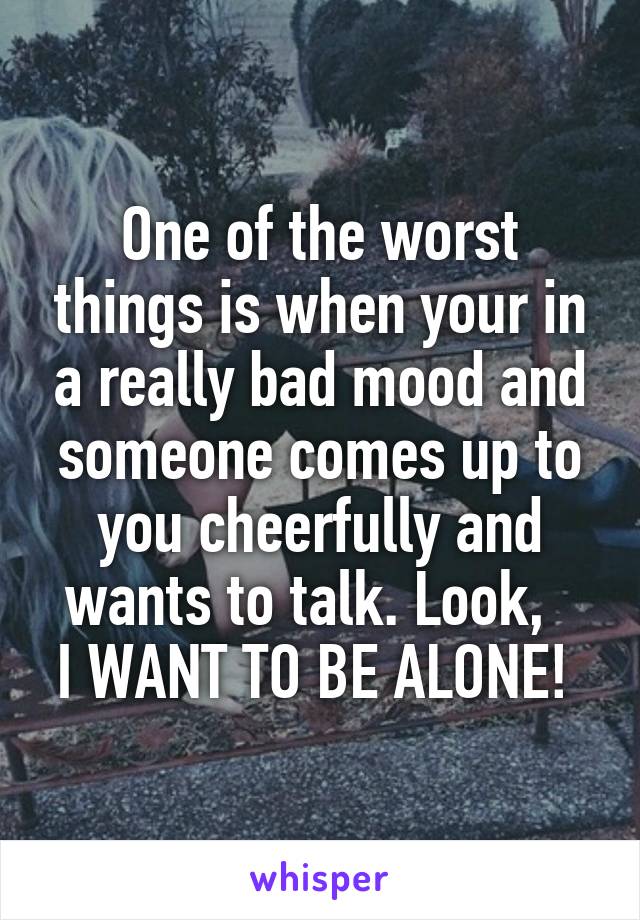 One of the worst things is when your in a really bad mood and someone comes up to you cheerfully and wants to talk. Look,  
I WANT TO BE ALONE! 