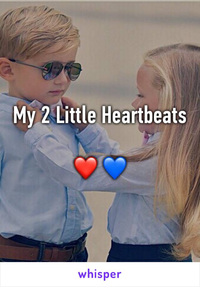 My 2 Little Heartbeats 

❤ 💙