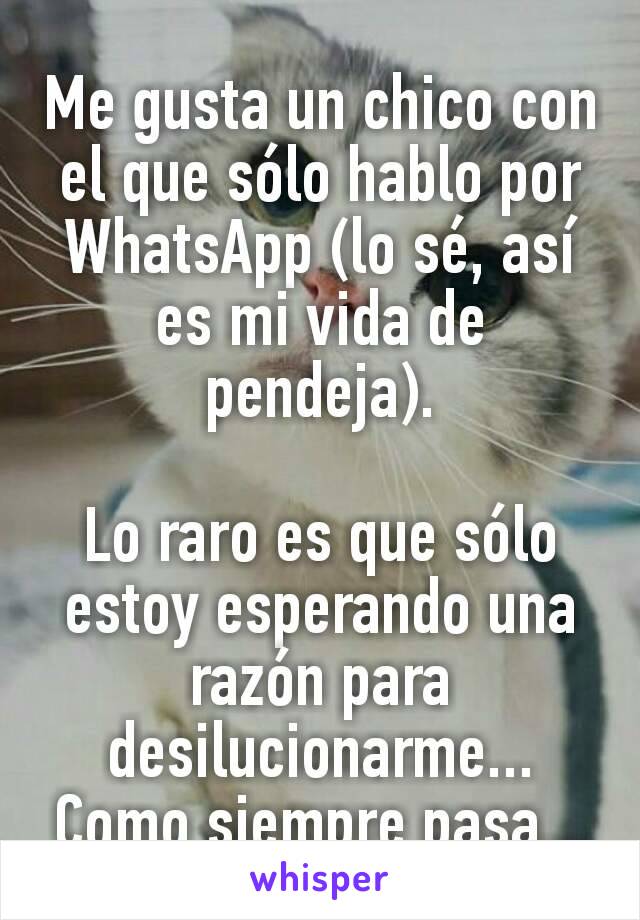 Me gusta un chico con el que sólo hablo por WhatsApp (lo sé, así es mi vida de pendeja).

Lo raro es que sólo estoy esperando una razón para desilucionarme... Como siempre pasa...