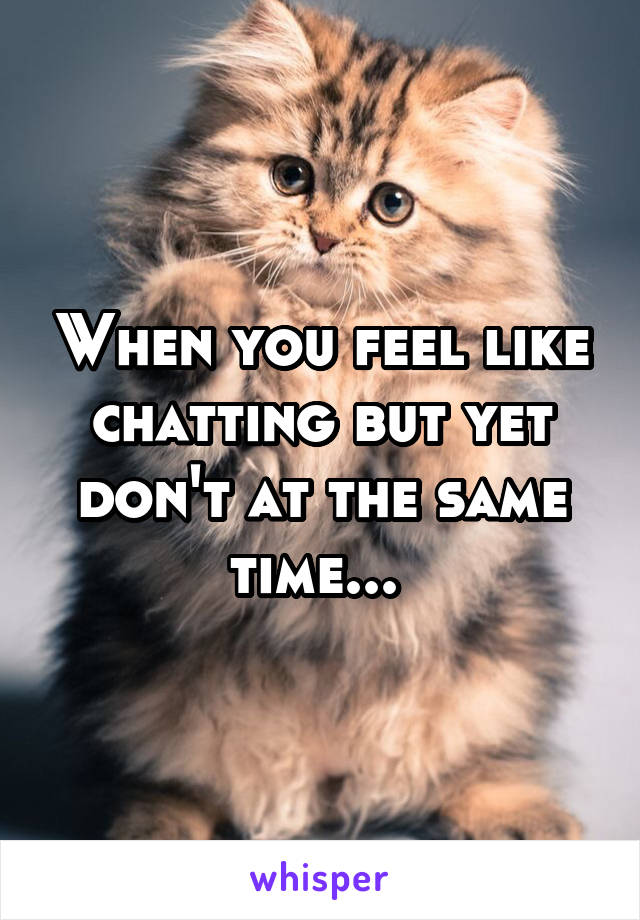 When you feel like chatting but yet don't at the same time... 