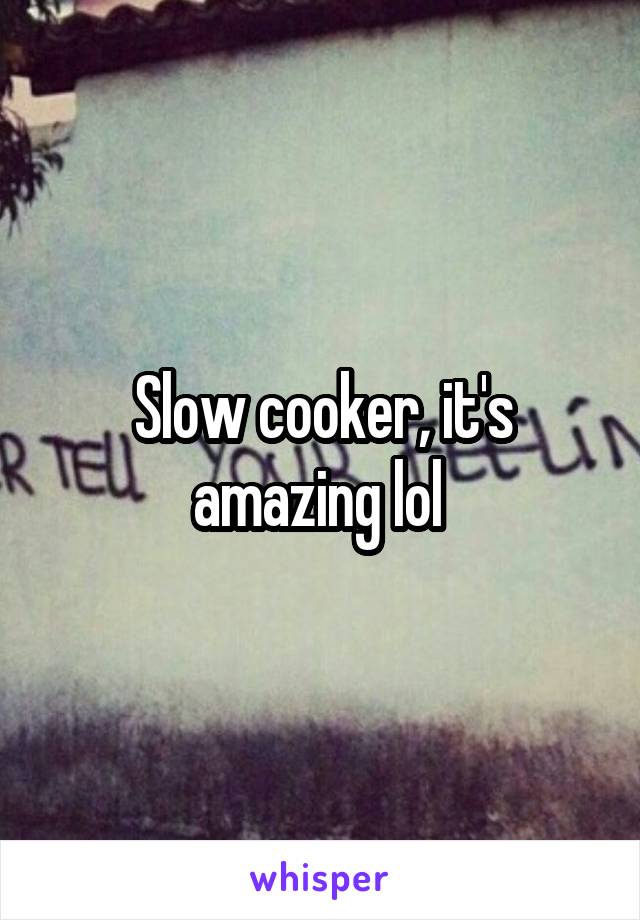 Slow cooker, it's amazing lol 